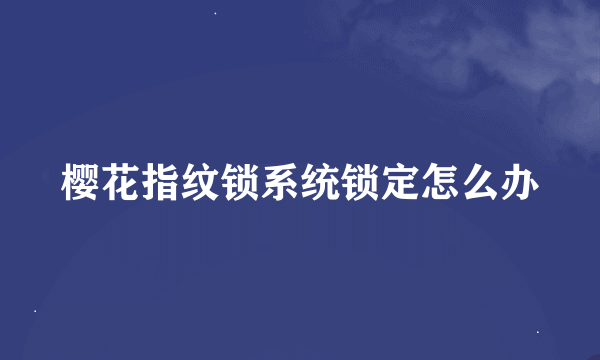 樱花指纹锁系统锁定怎么办