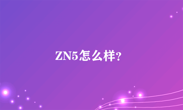 ZN5怎么样？