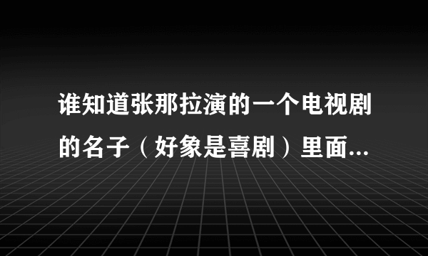 谁知道张那拉演的一个电视剧的名子（好象是喜剧）里面有个男演员叫金东根