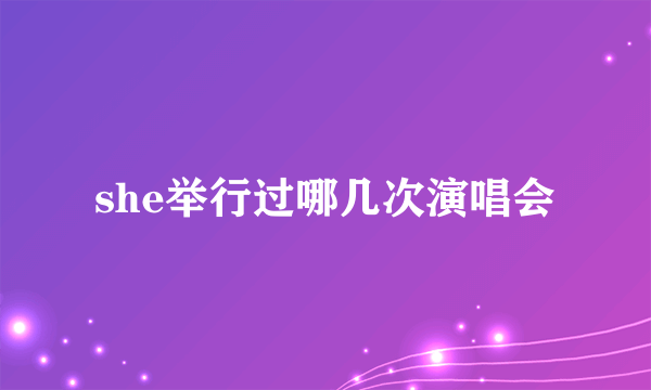 she举行过哪几次演唱会