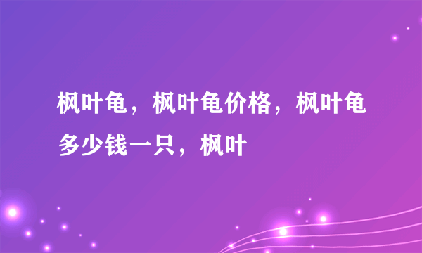 枫叶龟，枫叶龟价格，枫叶龟多少钱一只，枫叶