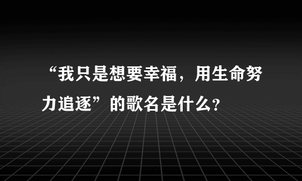 “我只是想要幸福，用生命努力追逐”的歌名是什么？