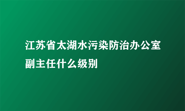 江苏省太湖水污染防治办公室副主任什么级别