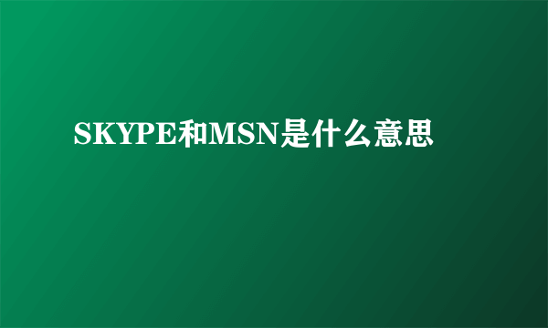 SKYPE和MSN是什么意思