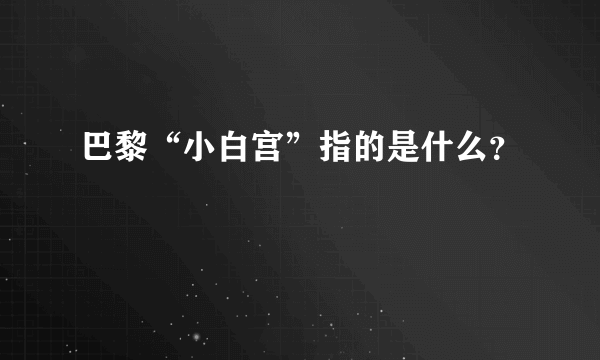 巴黎“小白宫”指的是什么？