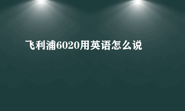 飞利浦6020用英语怎么说