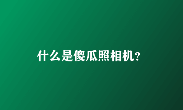 什么是傻瓜照相机？