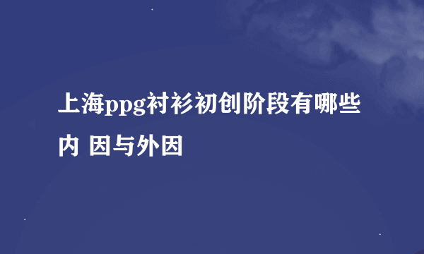 上海ppg衬衫初创阶段有哪些内 因与外因