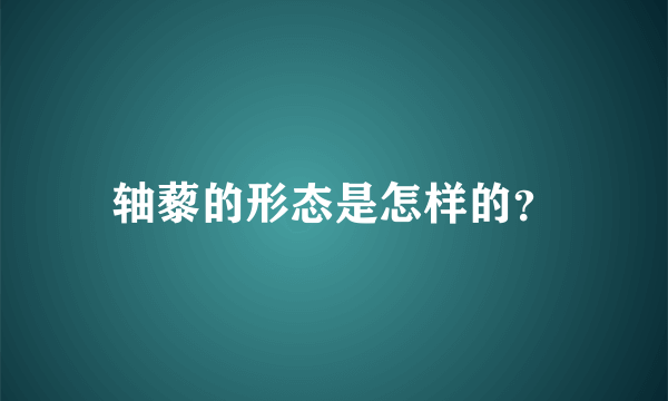 轴藜的形态是怎样的？