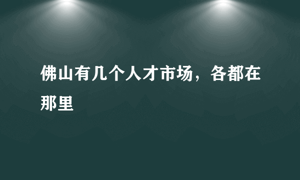 佛山有几个人才市场，各都在那里