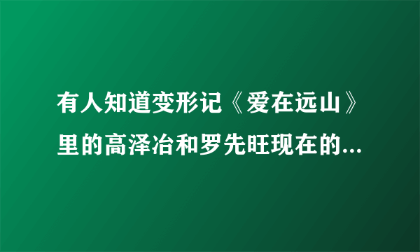 有人知道变形记《爱在远山》里的高泽冶和罗先旺现在的情况么?