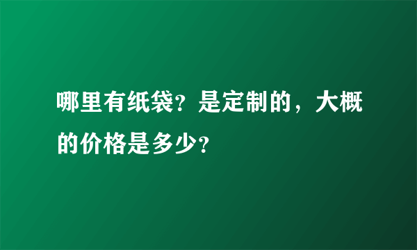 哪里有纸袋？是定制的，大概的价格是多少？