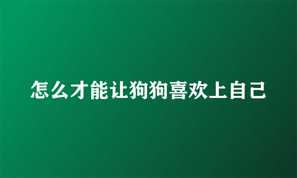 怎么才能让狗狗喜欢上自己