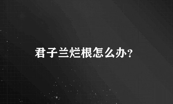 君子兰烂根怎么办？