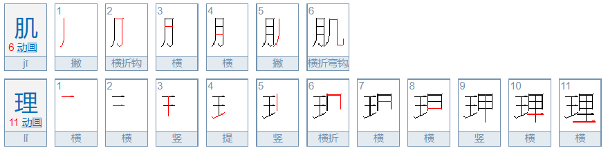 肌理是什么意思呢？