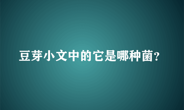 豆芽小文中的它是哪种菌？