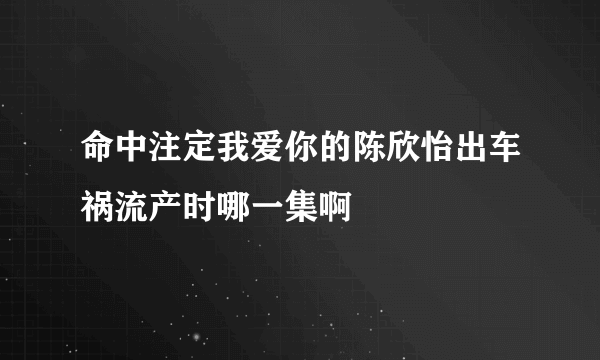 命中注定我爱你的陈欣怡出车祸流产时哪一集啊