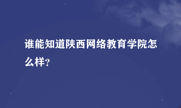 谁能知道陕西网络教育学院怎么样？