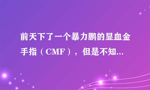 前天下了一个暴力鹏的显血金手指（CMF），但是不知道怎么用代码弄护石，本人急需一个回6攻9的！