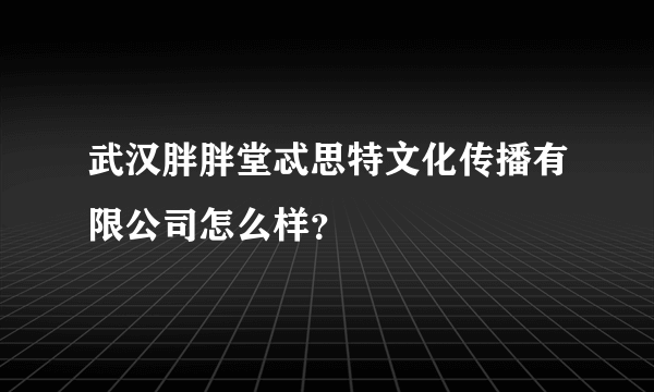 武汉胖胖堂忒思特文化传播有限公司怎么样？