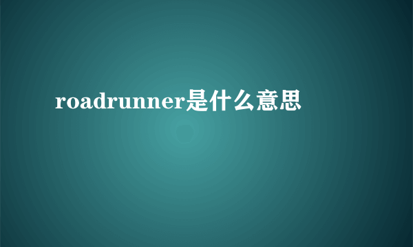 roadrunner是什么意思