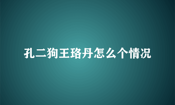 孔二狗王珞丹怎么个情况