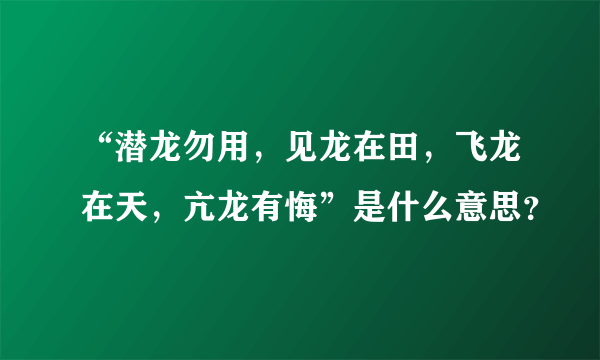 “潜龙勿用，见龙在田，飞龙在天，亢龙有悔”是什么意思？