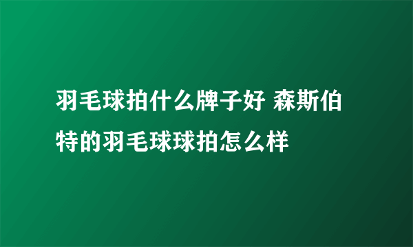 羽毛球拍什么牌子好 森斯伯特的羽毛球球拍怎么样