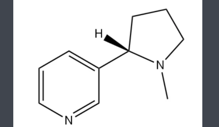 烟碱是什么东西?