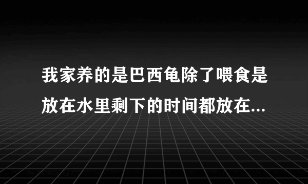 我家养的是巴西龟除了喂食是放在水里剩下的时间都放在床上晚上睡觉在被窝里人会有事吗？