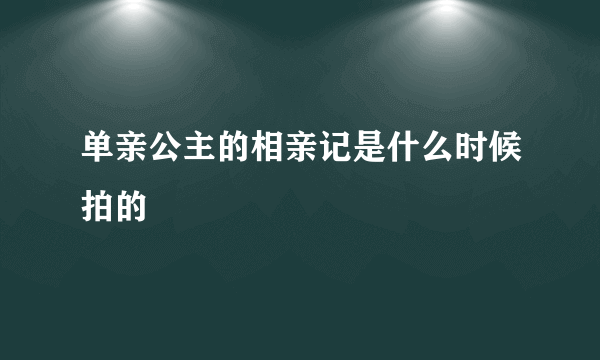 单亲公主的相亲记是什么时候拍的