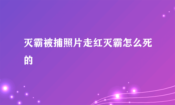 灭霸被捕照片走红灭霸怎么死的