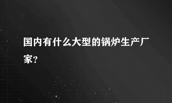 国内有什么大型的锅炉生产厂家？