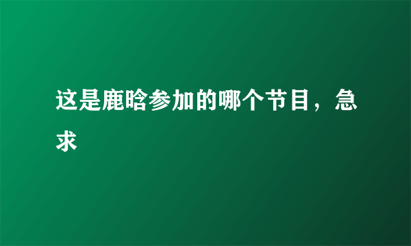 这是鹿晗参加的哪个节目，急求