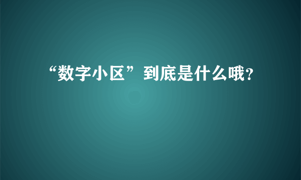 “数字小区”到底是什么哦？