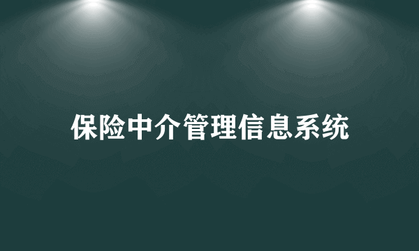 保险中介管理信息系统