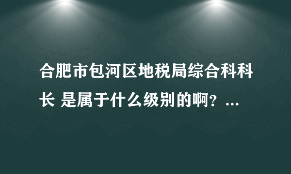 合肥市包河区地税局综合科科长 是属于什么级别的啊？官大还是小？