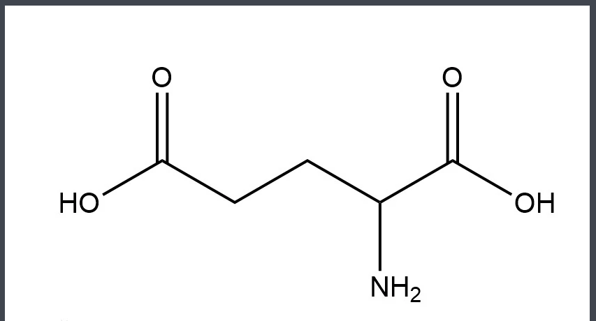 谷氨酸是什么东西?