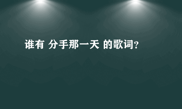 谁有 分手那一天 的歌词？