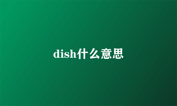 dish什么意思