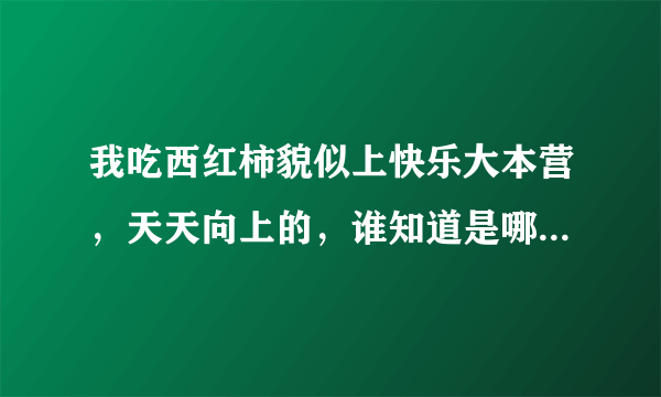 我吃西红柿貌似上快乐大本营，天天向上的，谁知道是哪一期？？？