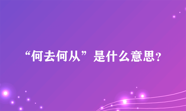 “何去何从”是什么意思？