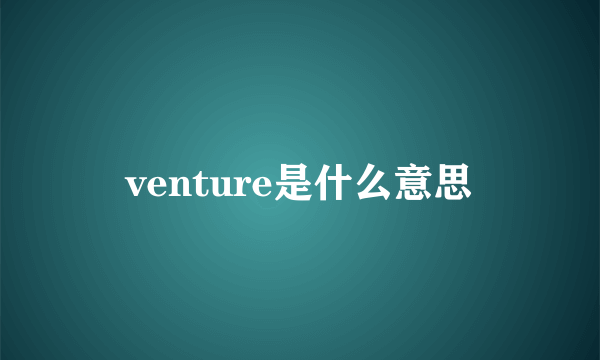 venture是什么意思