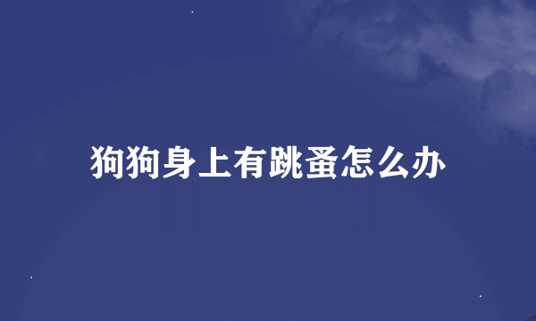 狗狗身上有跳蚤怎么办