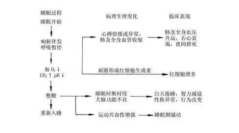 什么是睡眠?