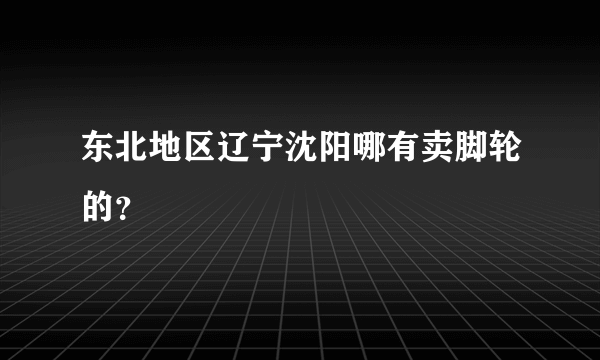 东北地区辽宁沈阳哪有卖脚轮的？