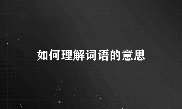 如何理解词语的意思