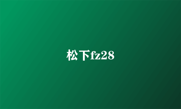 松下fz28