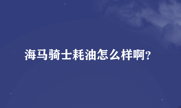 海马骑士耗油怎么样啊？