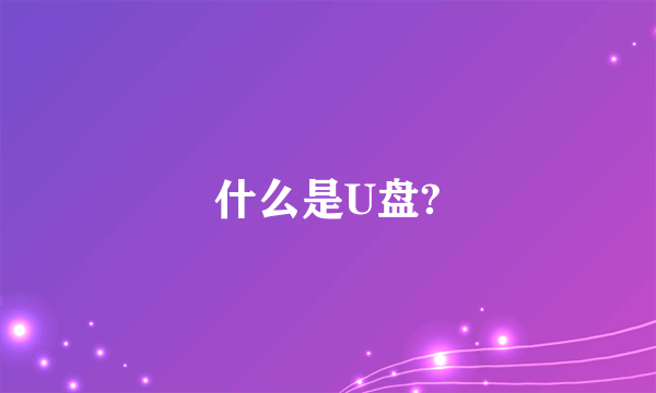 什么是U盘?